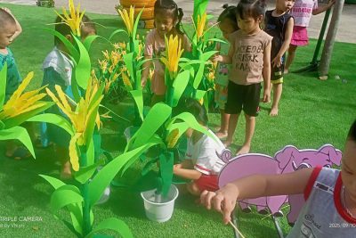 Sau Bão KALMAEGI, MN Nghĩa Kỳ lại xanh!